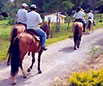 foto de passeio de cavalo